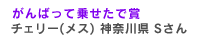 チェリー(メス)　神奈川県 Sさん