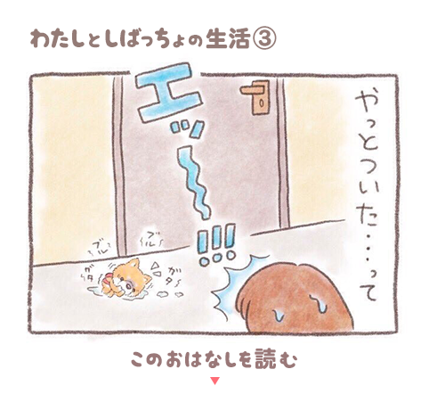 わたしとしばっちょの生活③